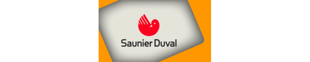 Aire acondicionado Saunier Duval