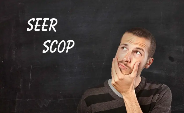 ¿Qué significa SEER y SCOP?