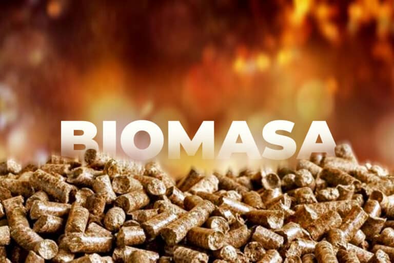 Qué es la biomasa y cómo funciona